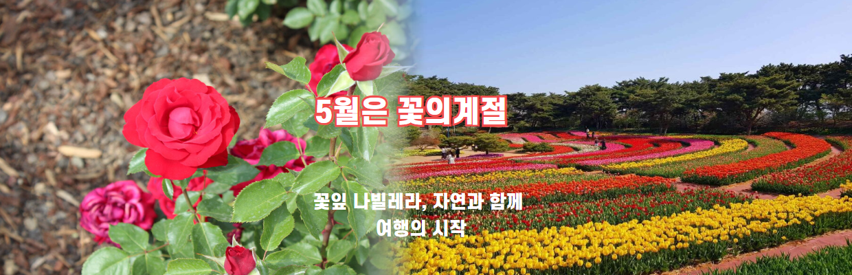 이미지슬라이드