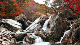 [당일]무주 구천동+적상산 단풍