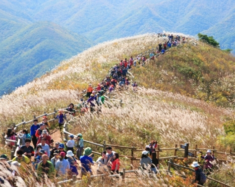 [당일]명성산 억새꽃+산정호수