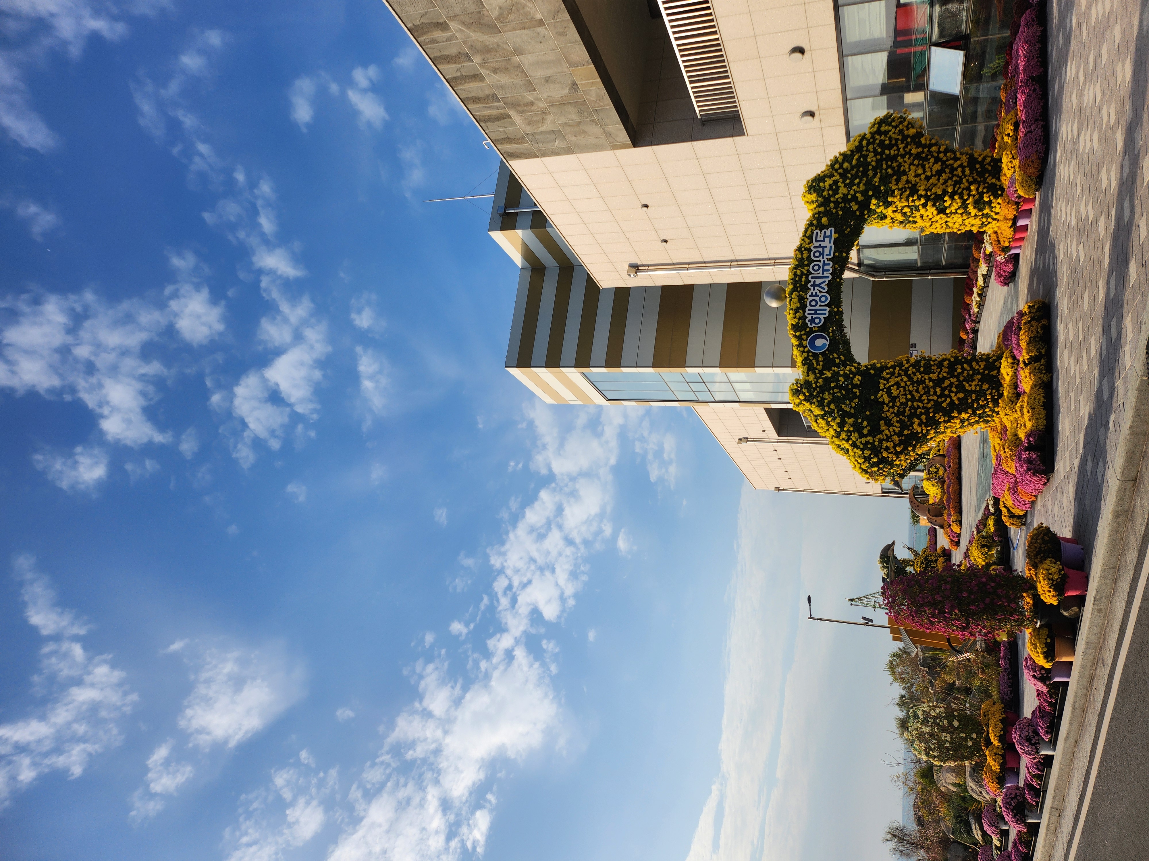 [리무진-1박] 완도 해양치유체험+보길도